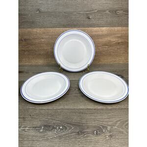 Arcopal France Restaurant Extra Resistant Blue Stripe 9” Luncheon Plates ~3 Pc